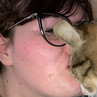 kittykatastrophy69 Nahé